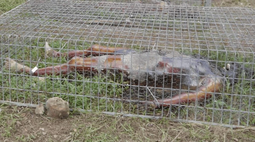 Captura de pantalla 2014-12-09 a la(s) 14.51.02