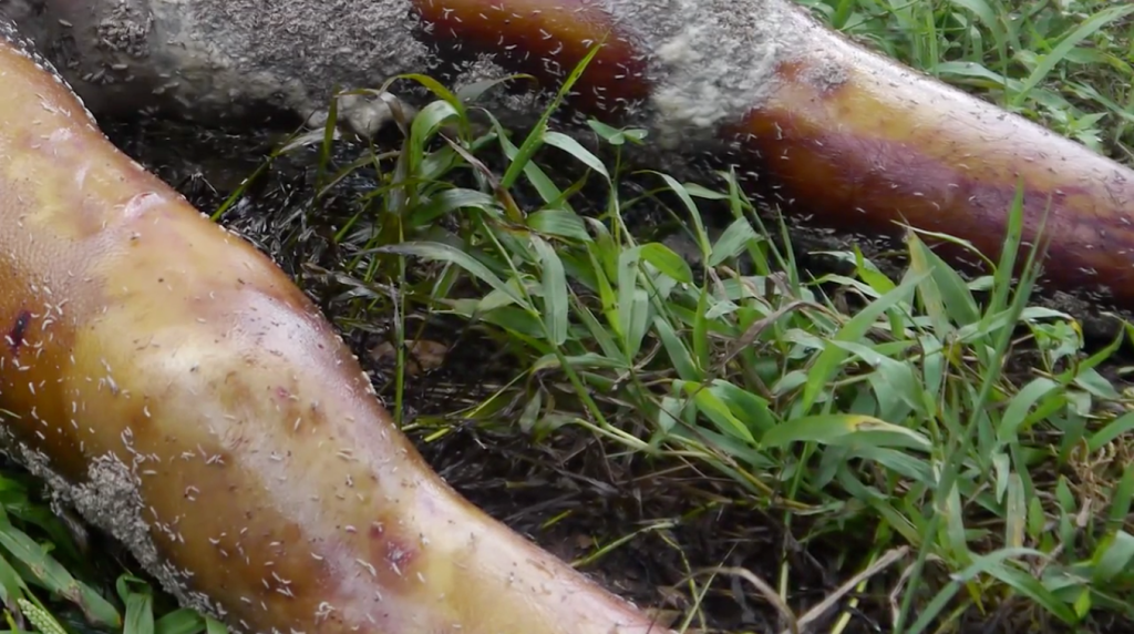 Captura de pantalla 2014-12-09 a la(s) 14.51.20