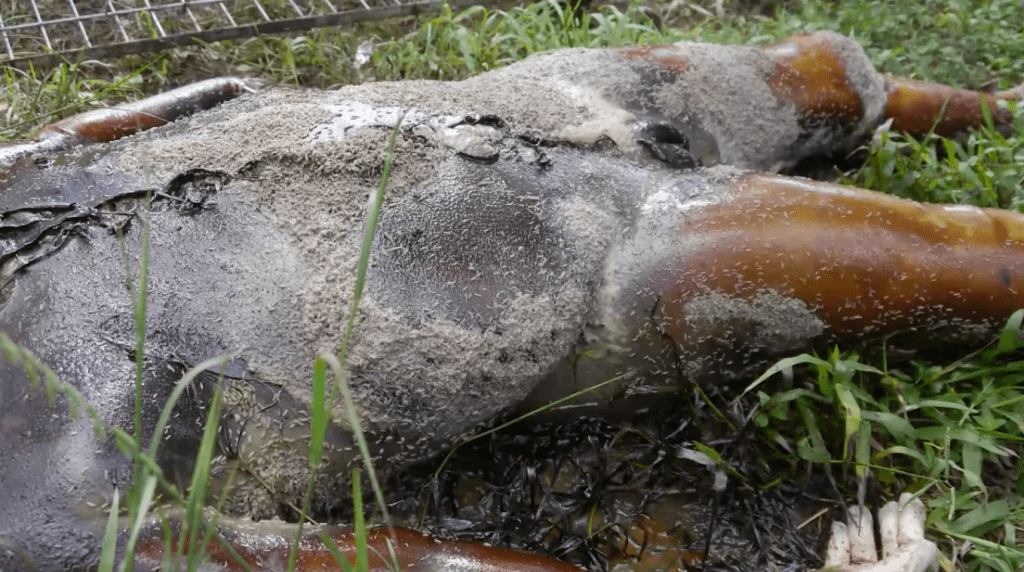 Captura de pantalla 2014-12-09 a la(s) 14.51.36