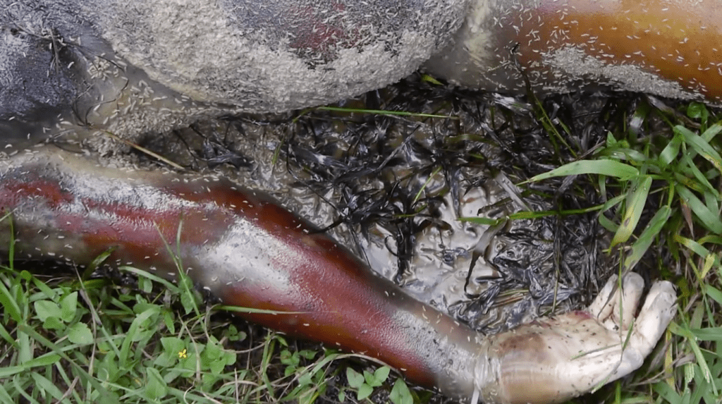 Captura de pantalla 2014-12-09 a la(s) 14.52.26