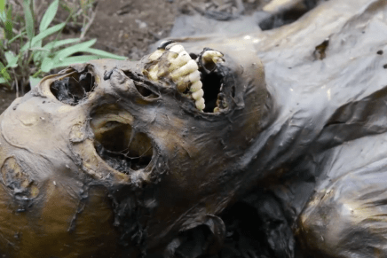 [VIDEO] La granja de&nbsp;cadáveres