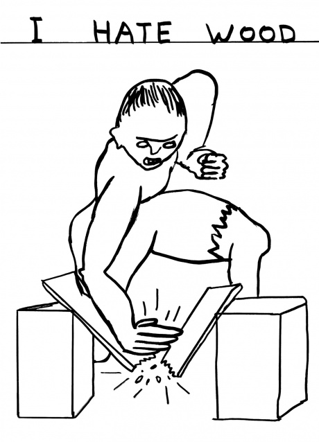 davidshrigley12