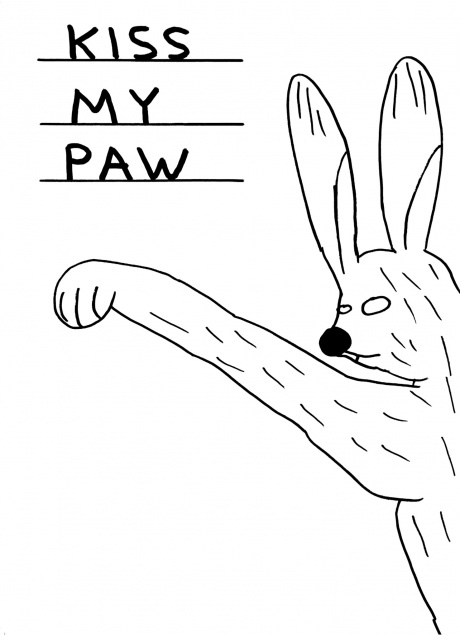 davidshrigley8