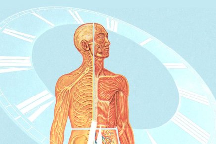 ¿Qué le pasará a tu cuerpo en&nbsp;2015?