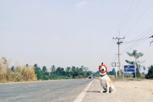 tumblr_nhv17ua0a51qarjnpo5_500