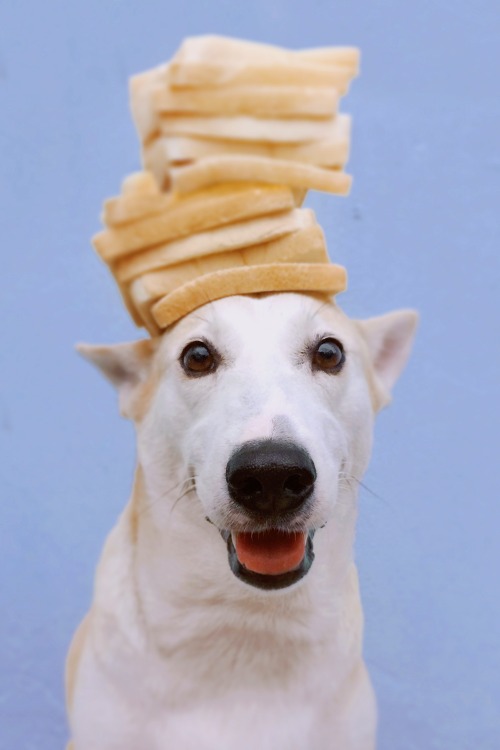 tumblr_ni8f9gNiSF1shnj8fo1_500