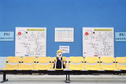 tumblr_nic1xw1WA51shnj8fo2_500