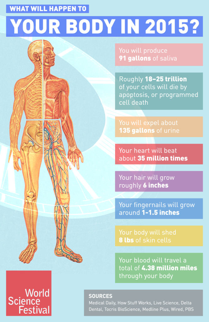 year-in-the-body-665x1024