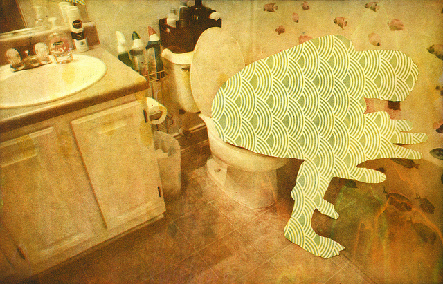 16292794530_269160c767_z