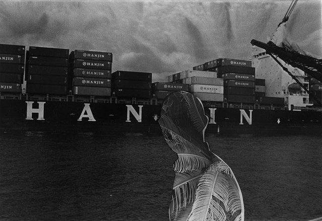 16454235626_bd102a5fed_z