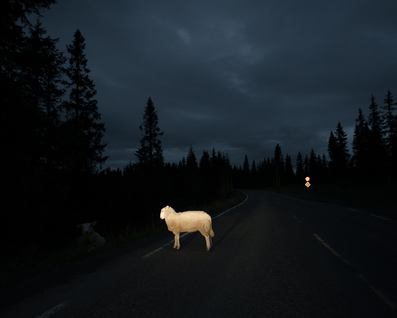 20dc6ef7a2e26934b9549452154b4d88