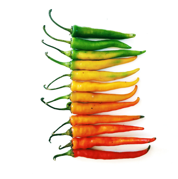 Brittany+Wright+Food+Gradients10