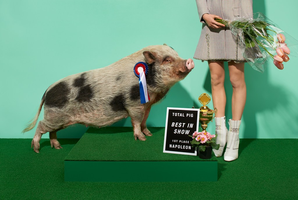 severa-frahm-obscure-laws-5