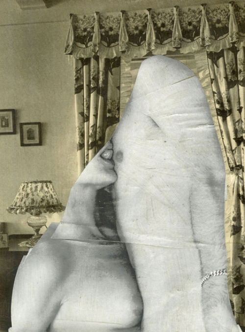 tumblr_nponalkM6Q1qarjnpo5_500