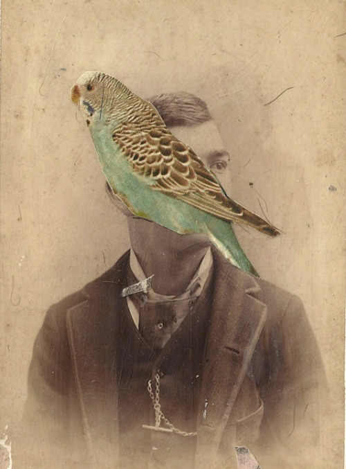 tumblr_nponalkM6Q1qarjnpo6_500