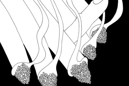 Mrzyk & Moriceau/ Negro sobre blanco/&nbsp;ilustración