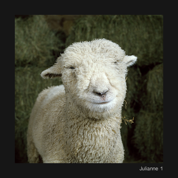 07+Julianne+1+copy